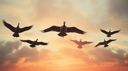 Fototapeta na wymiar Birds of freedom wildlife geese flock in the sky