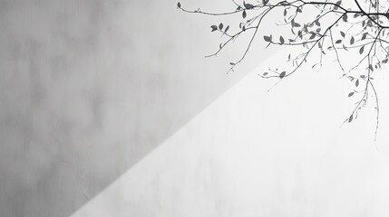 Artistic black and white pattern of leaf shadows on a white wall