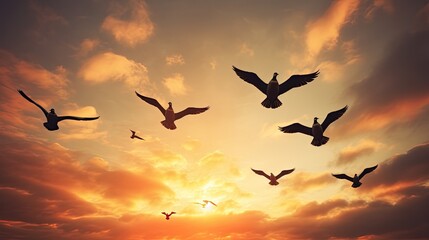 Birds of freedom wildlife geese flock in the sky