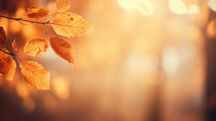 Naklejka na ściany i meble Enchanting Autumn Forest Background for Thanksgiving AI Generated
