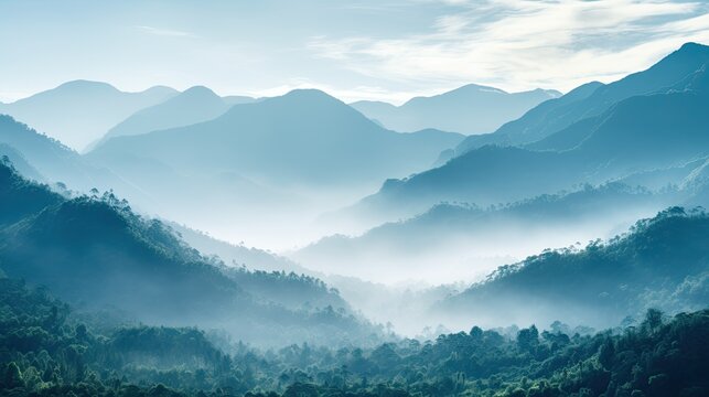 Morning mist over mountains in Kerala creating a stunningly serene nature scene