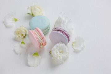 Top view Set Beautiful colorful French macaroons and flowers. Spring Flat lay white background
