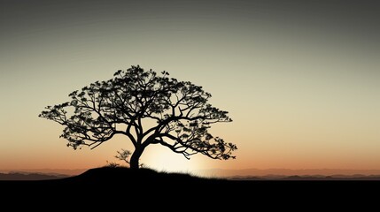 Silhouette of a tree rural area captured in photograph