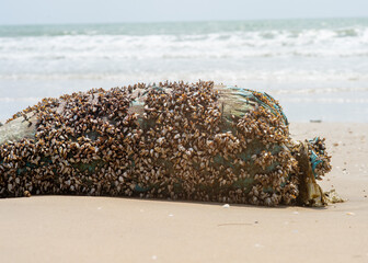 Plastic bag brought by tide