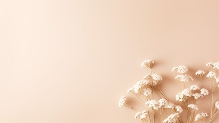 Flat beige Gypsophila flower template for text message Minimalist horizontal long background