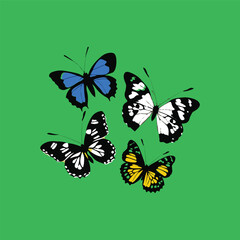  Four beautiful Butterflies vector art.