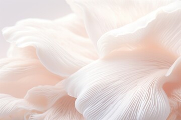 Close up of white colored Oyster mushroom. AI generated