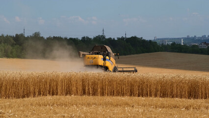 Combine harvester gathers the wheat crop. Wheat harvesting shears. Combines in the field Food...