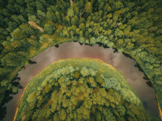 Aerial view of forest river