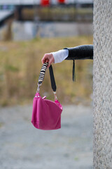 Pink Purse