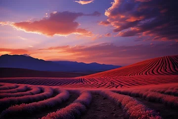Foto op Plexiglas Paysage d'un champs de lavande, ciel rouge, rivière bleue, nuages, ia © jp