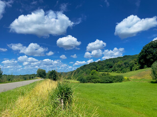 typical limburg hills with green meadows and blue cloudy sky. Heuvelland south limburg.