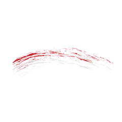 Indonesian Flag with Brush paint texture