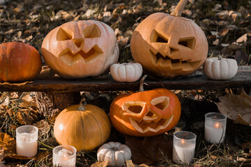 Halloween Pumpkin Head with Carved Scary Smiling Face on Wood Bench Outside. Jack-O-Lantern,...