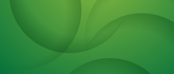 abstract green banner background with dynamic curves and shadows. vector illustration