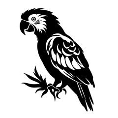 Parrot Profile Angle