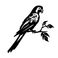 Parrot on a Tree Branch
