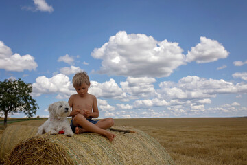 Beautiful blond child, boy, sitting on haystack with his sweet little maltese pet dog. Amazing...