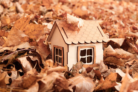 Eco house with autumn leaves in nature