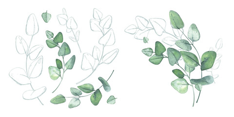 Eucalyptus. Set of green branches. Watercolor illustration for design of greeting cards, invitations, save the date, stickers