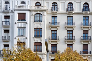 Elegant classical facades seen through autumnal yellow trees in Zaragoza, Aragon, Spain. Spanish vintage architecture