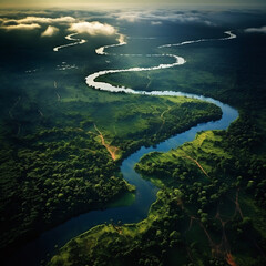 ariel view of of a river running through the forest - obrazy, fototapety, plakaty