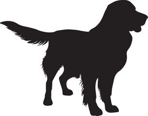 Golden Retriever Dog Vector silhouette