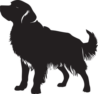 recommend clip art: Golden Retriever Dog Vector silhouette