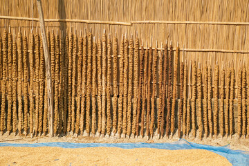Beautiful Asian village scenery. Rows of cow dung sticks are drying in the sun.