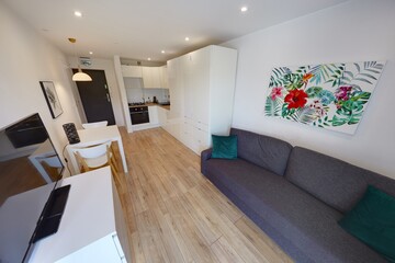 Salon w nowym apartamencie z szara sofą zielonym zasłonami i telewizorem © arteffect.pl