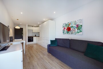 Salon w nowym apartamencie z szara sofą zielonym zasłonami i telewizorem © arteffect.pl