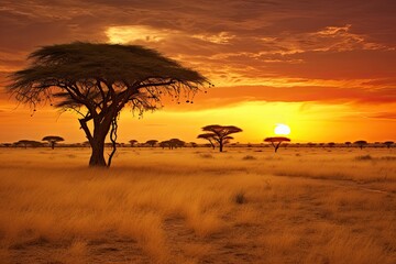 African savannah with acacia tree at sunset, Kenya, Africa, African savannah with acacia trees at sunset. Serengeti National Park, Tanzania, AI Generated