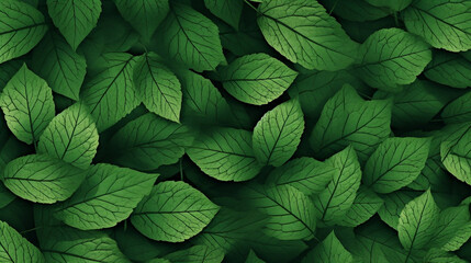 green leaves background, various sizes of nice green leaves, calming background, environment, made with Generative AI