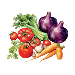Vegetables watercolor in retro hand drawn style on white background. Summer element vector illustration.
