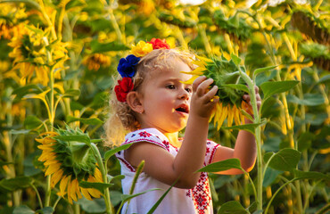 A child in a field of sunflowers Ukraine. Selective focus.