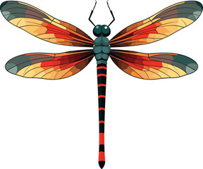 colorful dragonfly vector on white background
