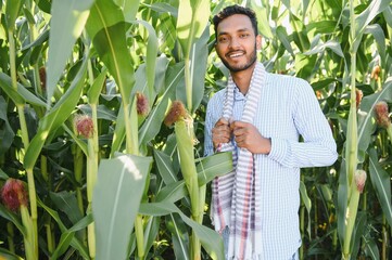 Young indian agronomist at corn field