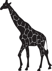 Giraffe Vector silhouette design illustration