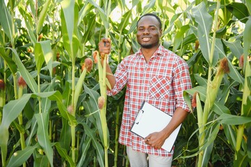 African American Farmer or Agronomist inspects the corn crop. The concept of agriculture.