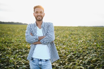 Naklejka na ściany i meble An Indian farmer in a soybean field.