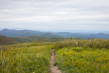 Hiking in the Summer at Black Balsam in Western North Carolina