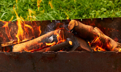 Burning wood. Fireplace. Flame of fire