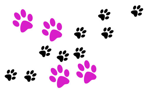 animal paw print