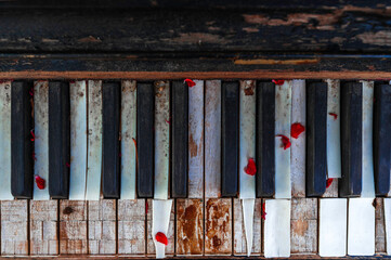 Stare drewniane niszczejące pianino z rozpadającą się klawiaturą, przystrojone kolorowymi kwiatami