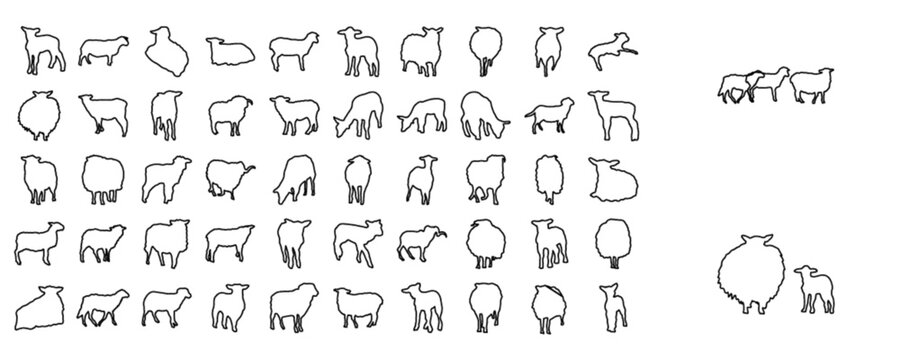 Sheep silhouettes
