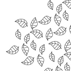 Leaf leaves floral background on white background 