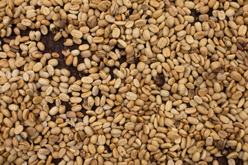 background of green coffee beans