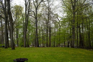 Obraz premium backyard after the rain in the spring