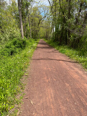 Obraz premium hike along the canal in the spring