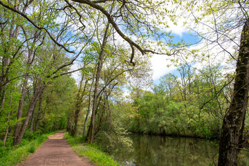 Fototapeta premium hike along the canal in the spring